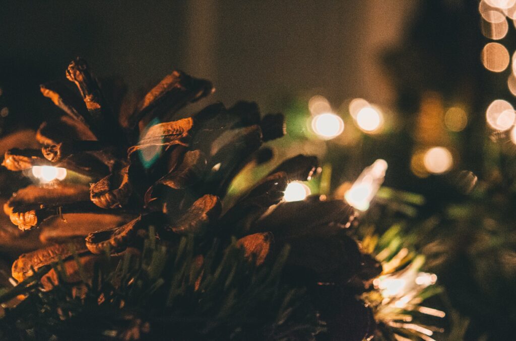 When you already struggle with your mental health, there are parts of the holidays that might be a trying time.