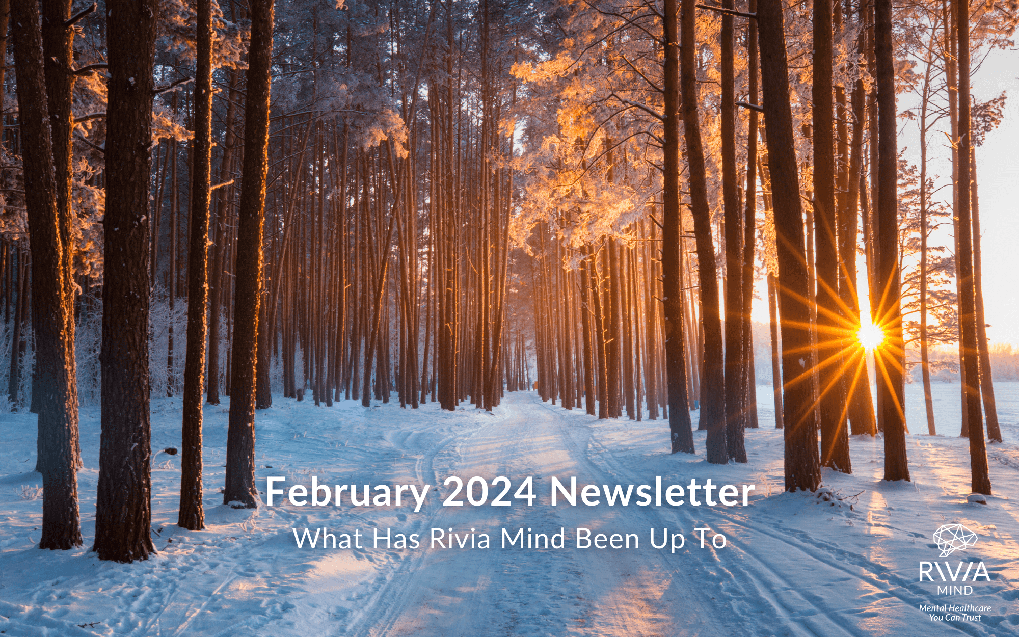 February 2024 Newsletter