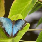 6 strategies for coping with life transitions