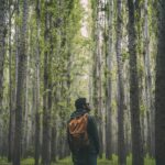 Navigating the Journey to Mental Wellness: How Seeking a Psychiatrist Can Make a Difference