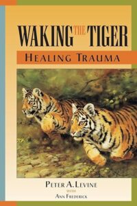 Waking the Tiger - Book Cover
